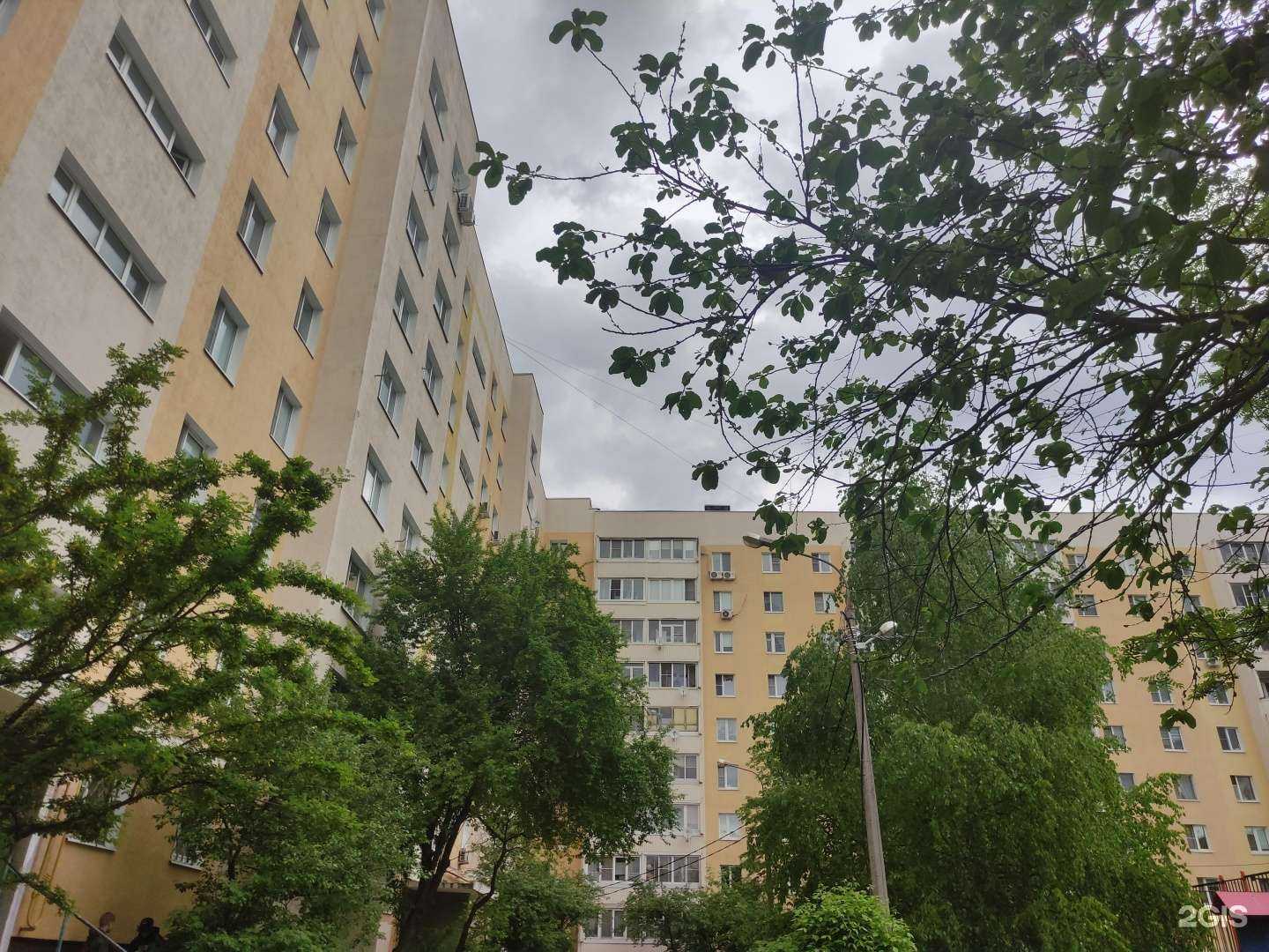 Отзывы на компанию Coddy в Подольске c фото - фотография 2 из 2