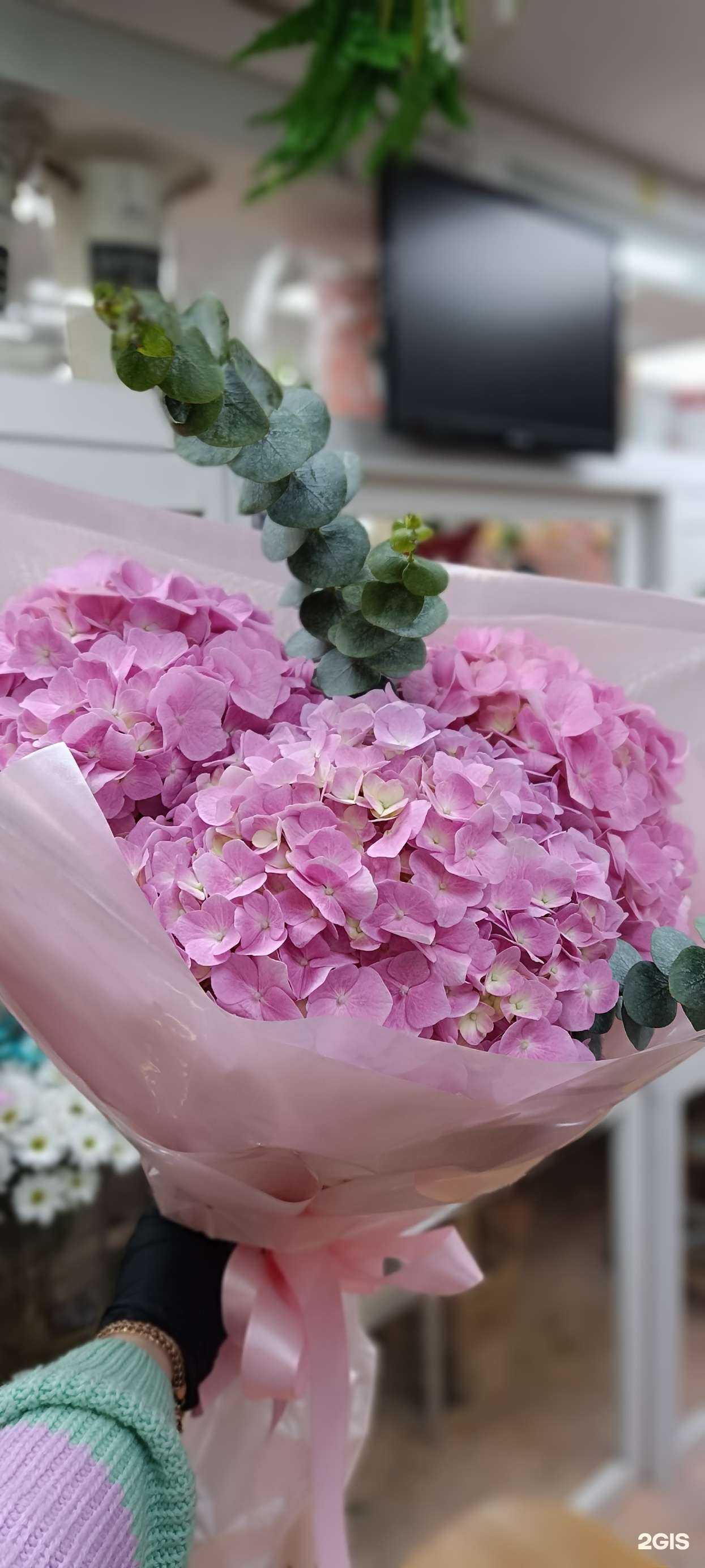 Отзывы на компанию Азалия в Владивостоке c фото