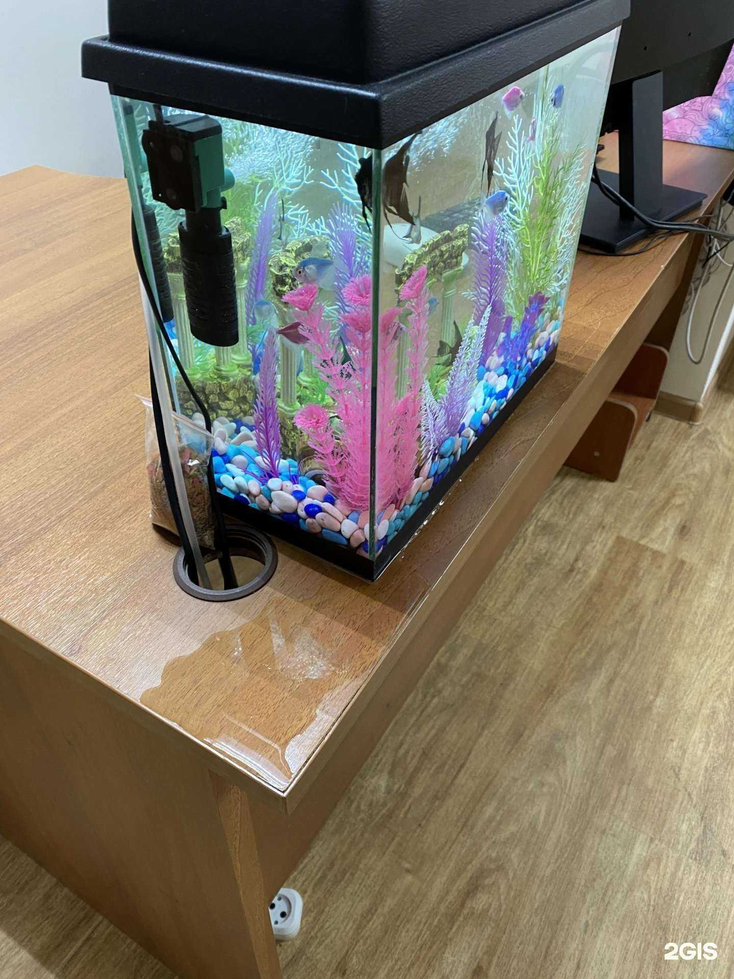 Отзывы на компанию Такса и к в Челябинске c фото