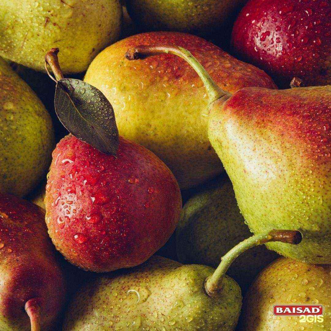 Отзывы на компанию Байсад в г. Георгиевск c фото