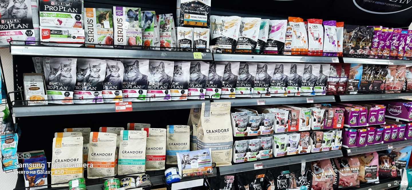 Отзывы на компанию Ваш ветврач в Черногорске c фото