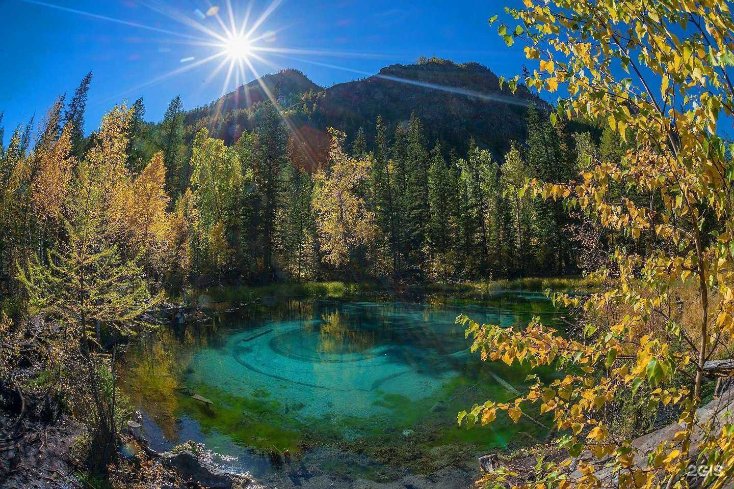 Отзывы на компанию Плот-Интрэвел в Барнауле c фото