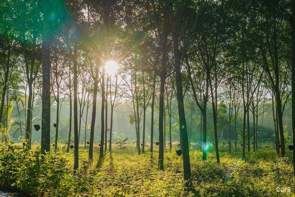 Отзывы на компанию Виброакустик Волга, производственная компания в Заволжье c фото