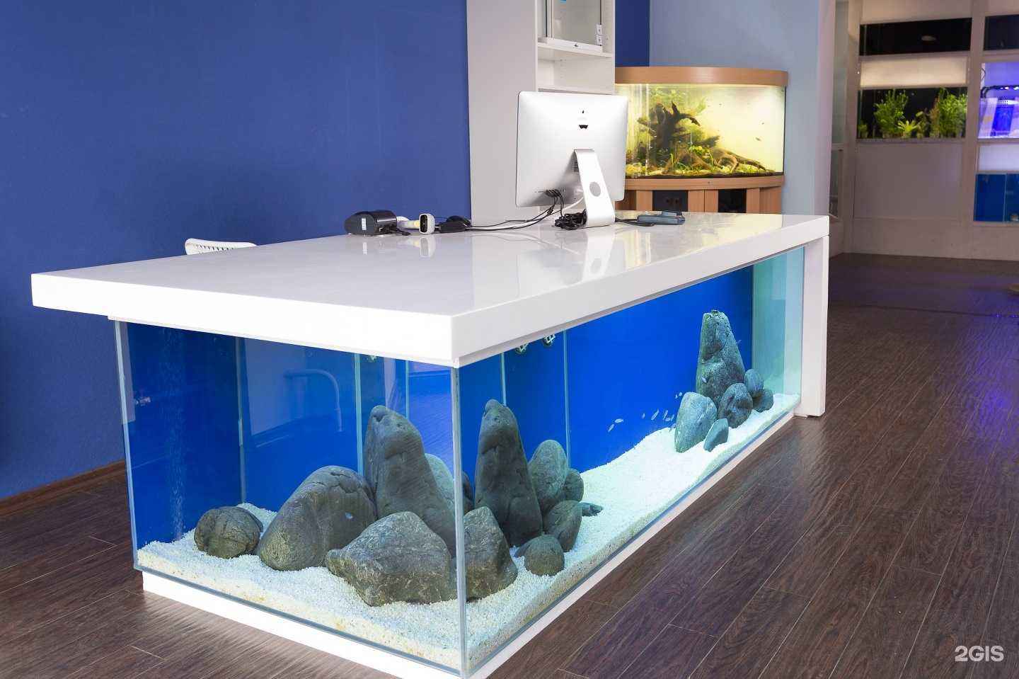 Отзывы на компанию Happyfishes в Екатеринбурге c фото