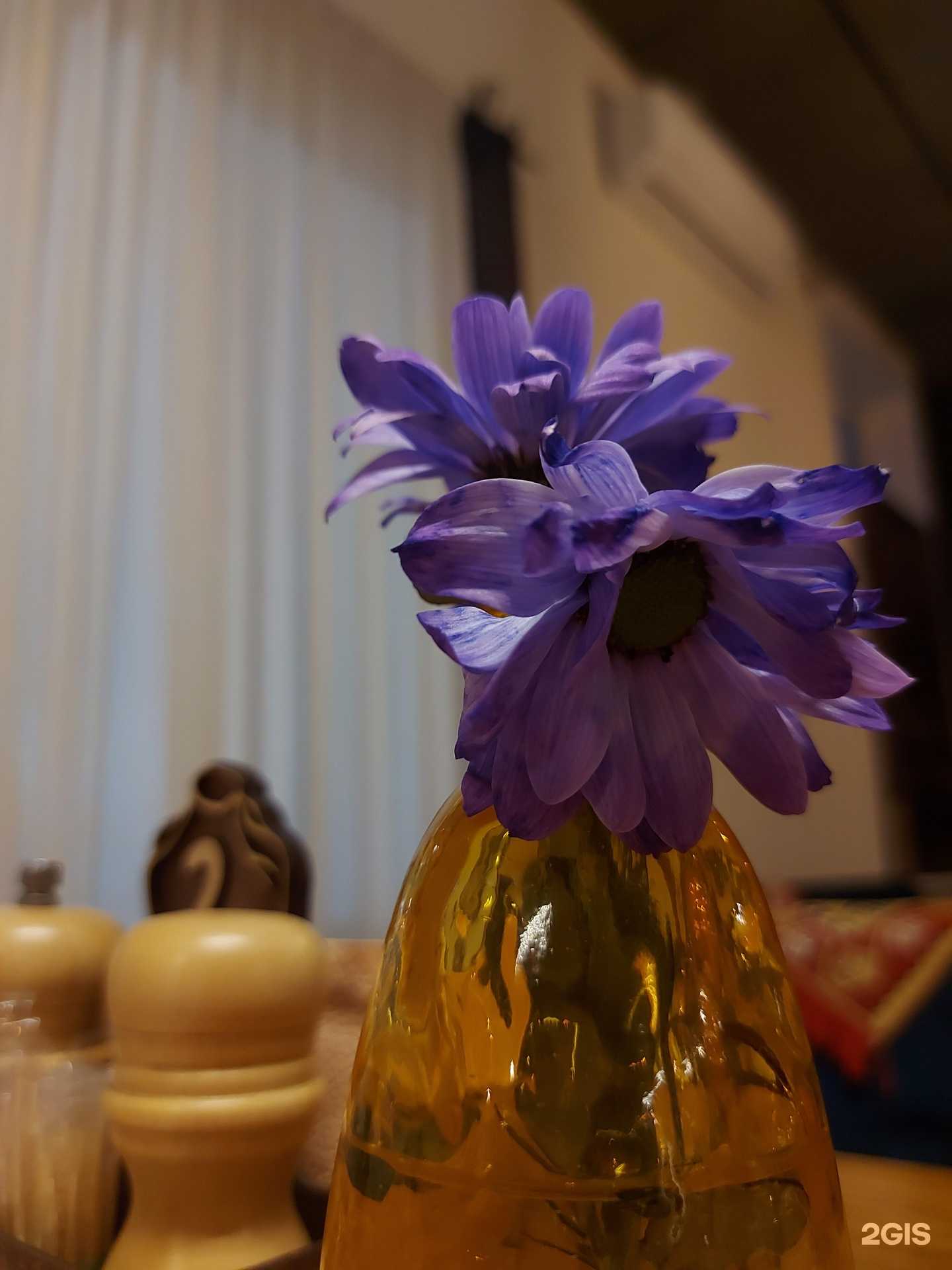 Отзывы на компанию Badagoni в Ачинске c фото