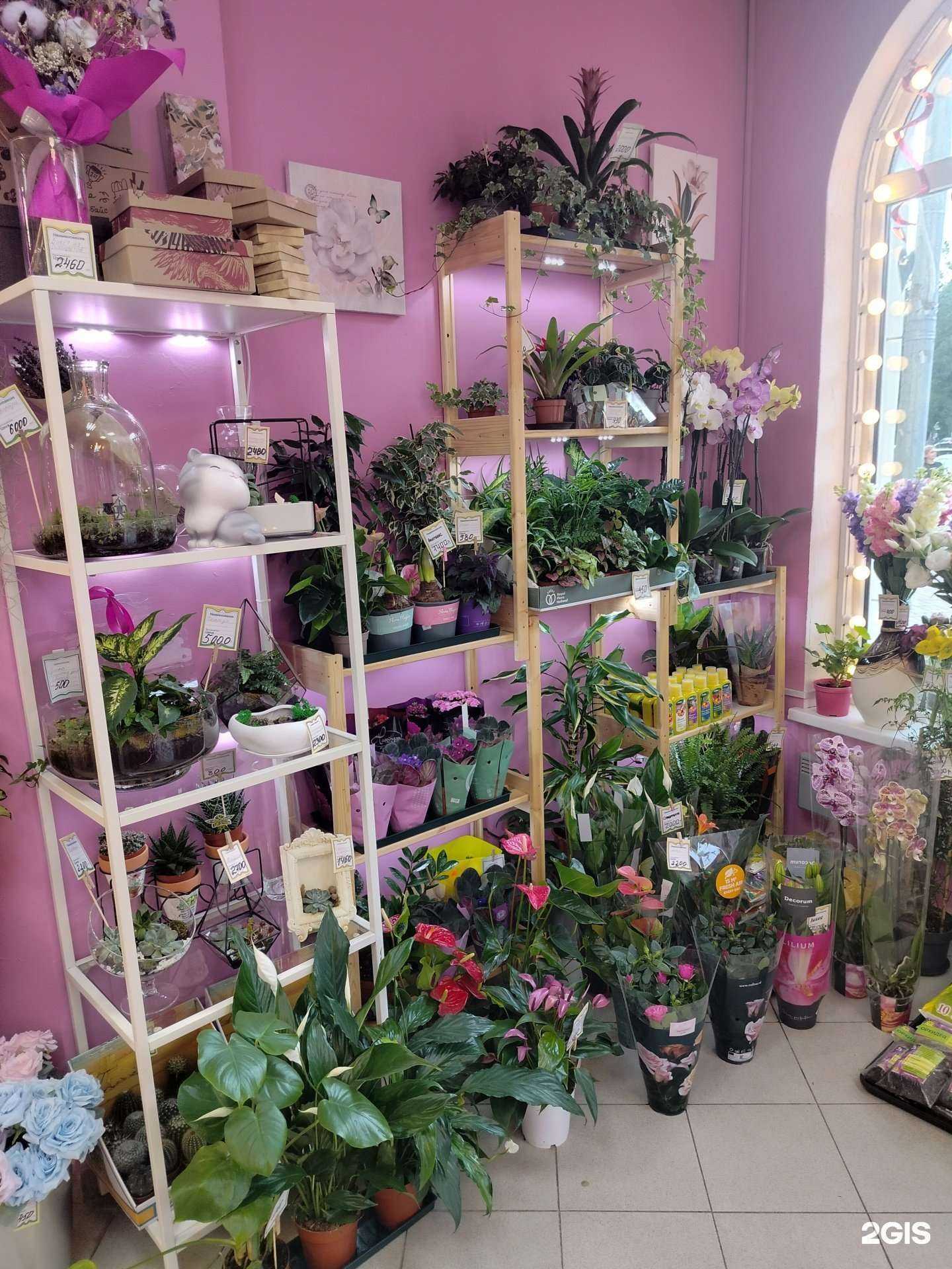 Отзывы на компанию Пион в Лобне c фото