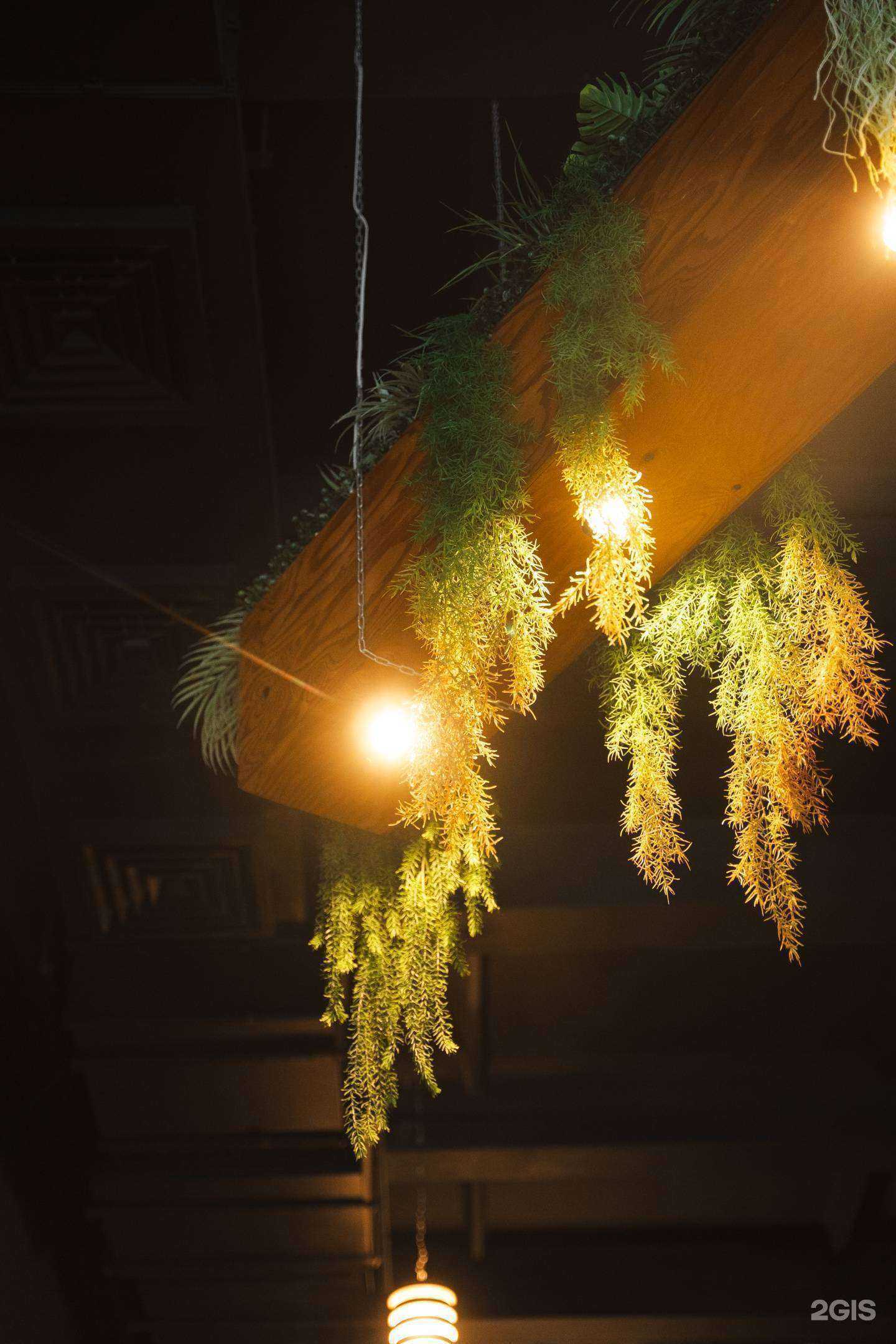 Отзывы на компанию Корея в Хабаровске c фото