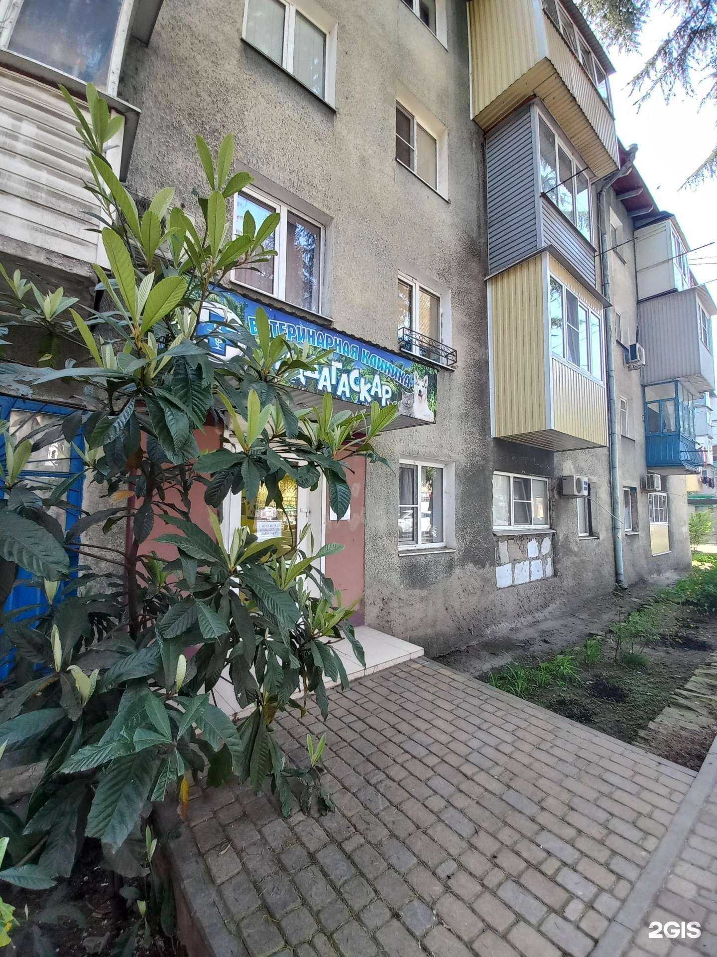 Отзывы на компанию Мадагаскар в Туапсе c фото