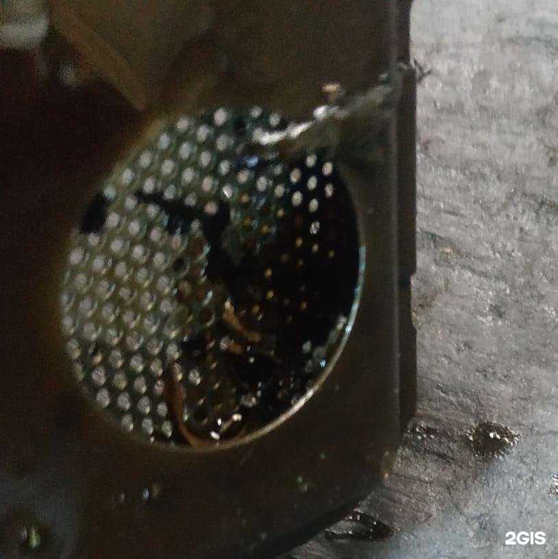 Отзывы на компанию Garage 677 в Омске c фото