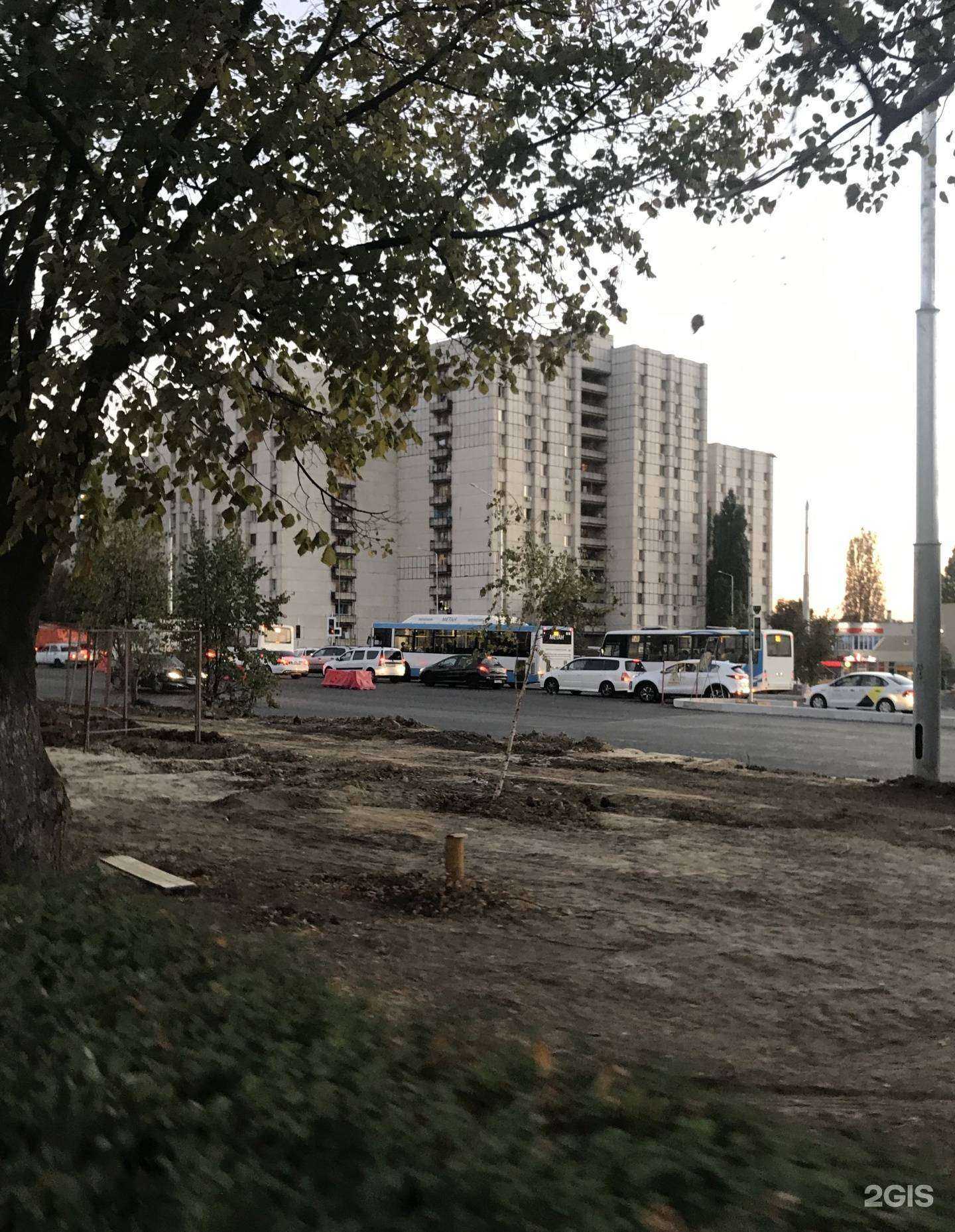 Отзывы на компанию Ноготок в Белгороде c фото - фотография 2 из 2