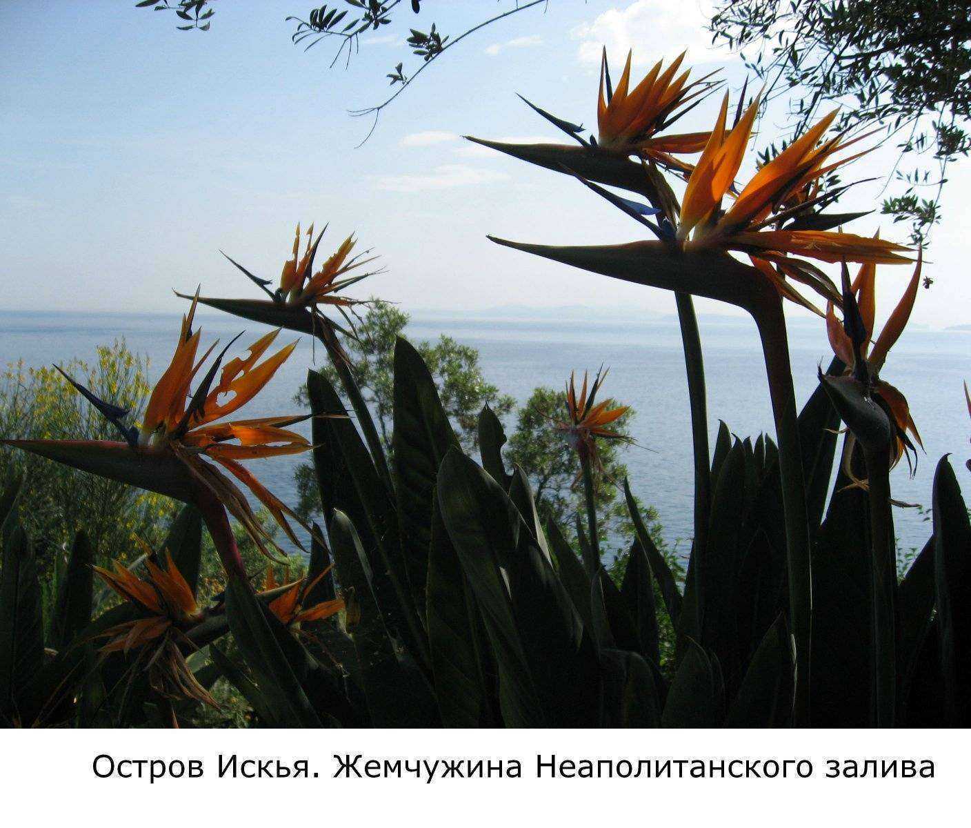 Отзывы на компанию Веритас в Омске c фото