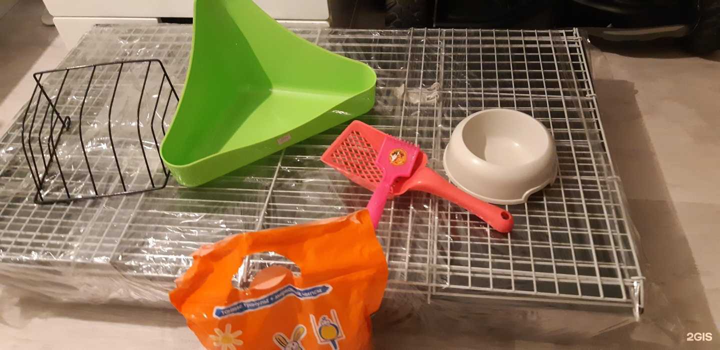 Отзывы на компанию Zooclub в Перми c фото