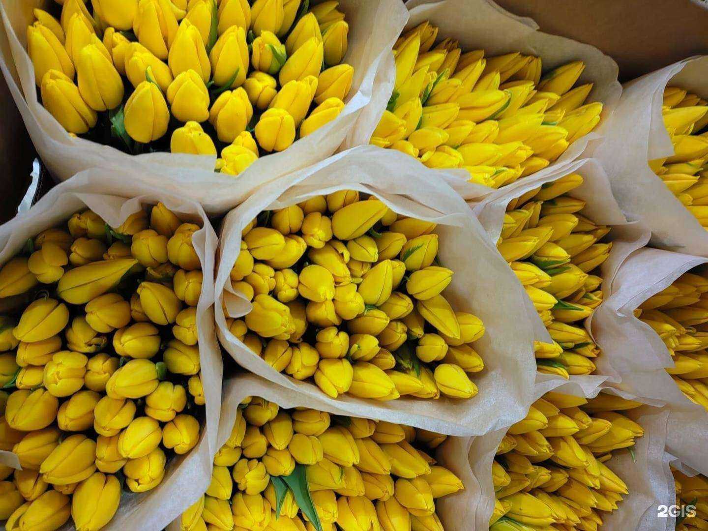 Отзывы на компанию Первоцвет в Красноярске c фото