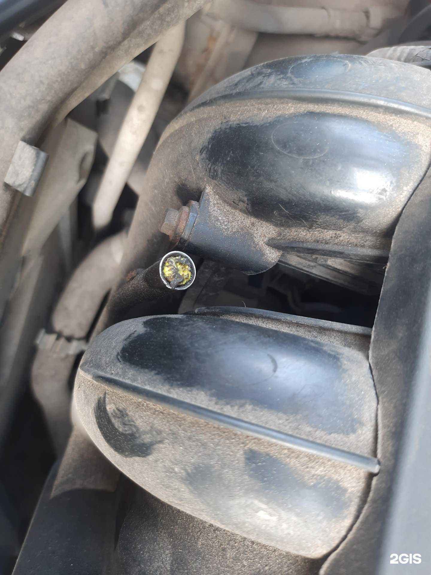 Отзывы на компанию Monroe в Калининграде c фото