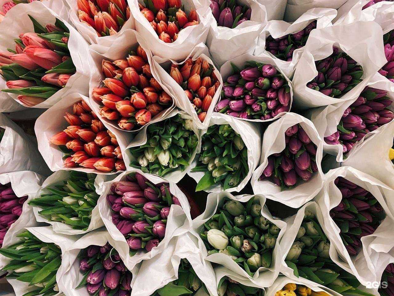 Отзывы на компанию 29roz в Архангельске c фото