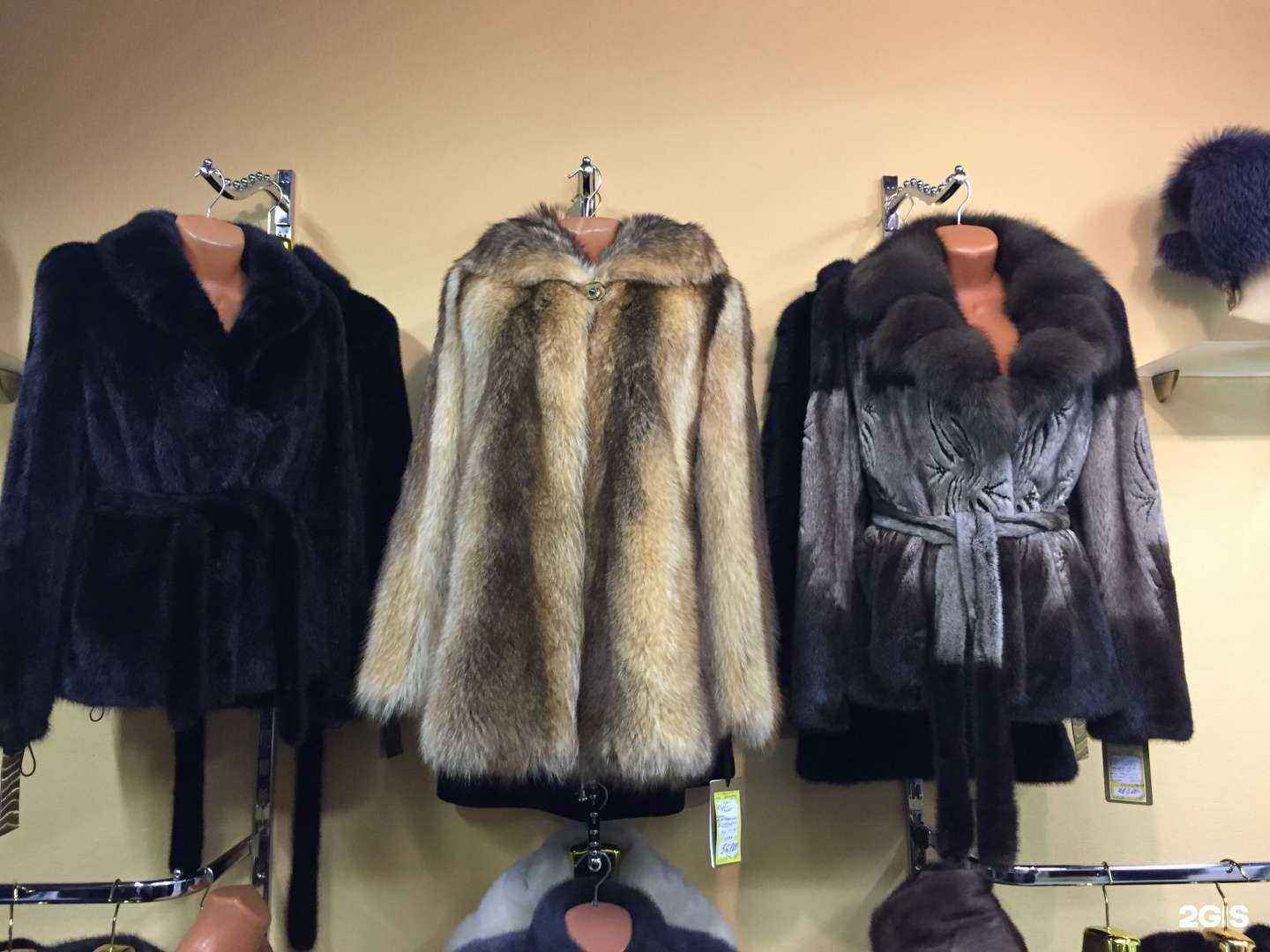 Отзывы на компанию Багира в г. Тула c фото