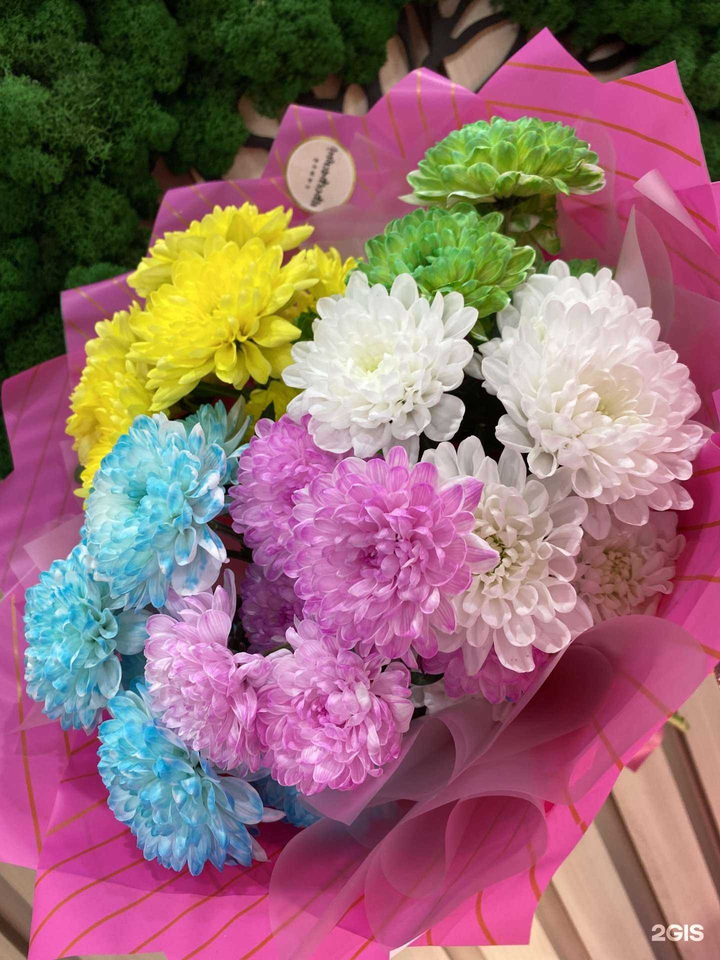 Отзывы на компанию Сакура в г. Лениногорск c фото