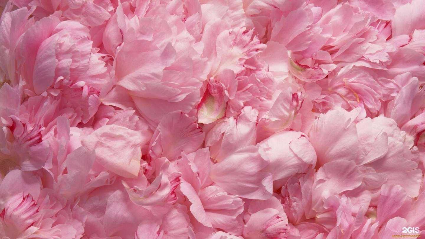 Отзывы на компанию Selezneva Beauty в Краснодаре c фото