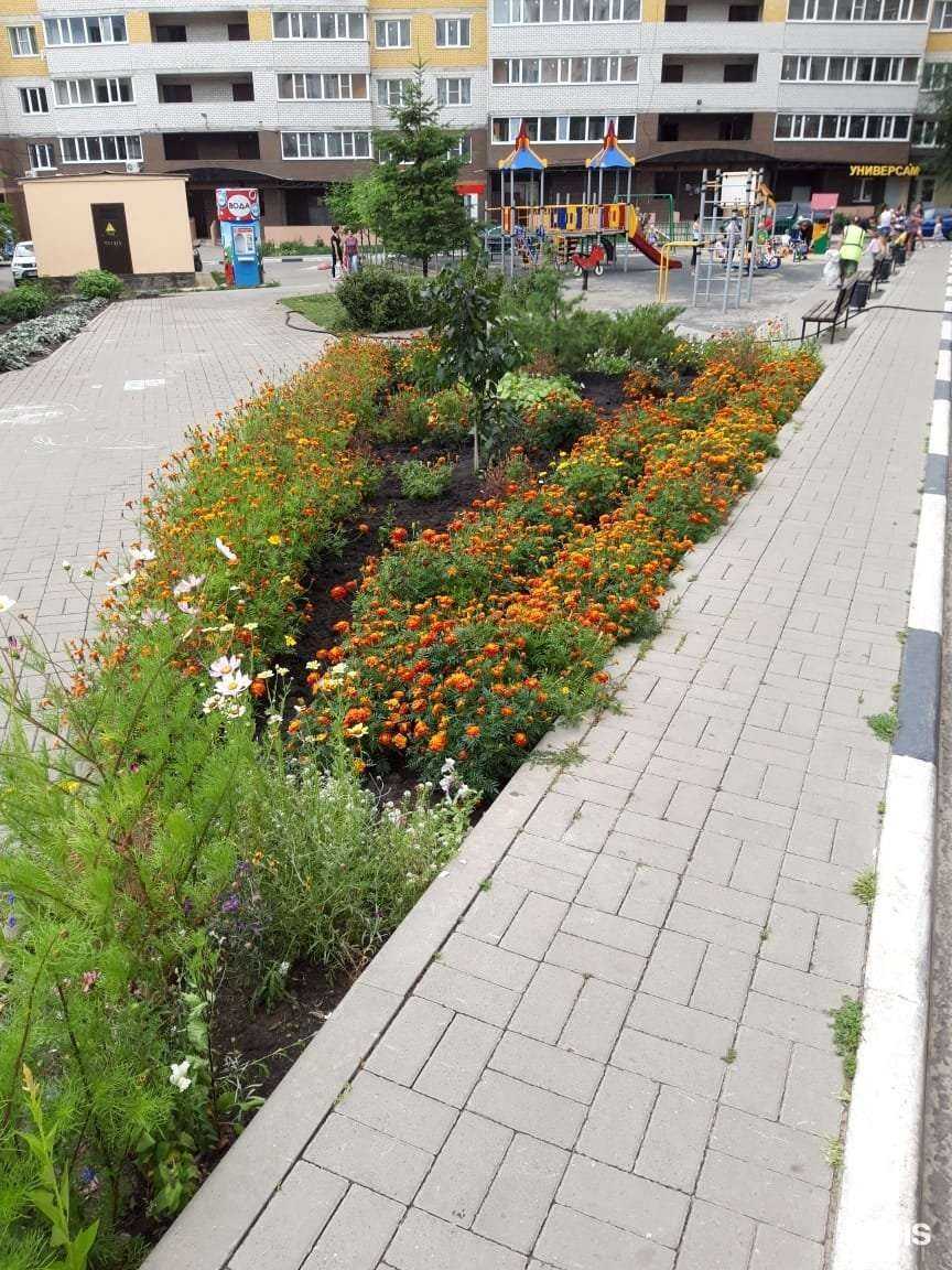 Отзывы на компанию Самокат в Воронеже c фото - фотография 2 из 2