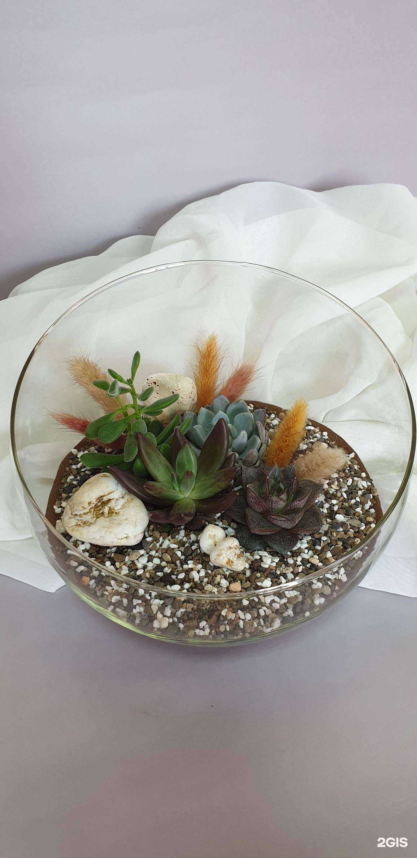 Отзывы на компанию Букет в стекле в Томске c фото