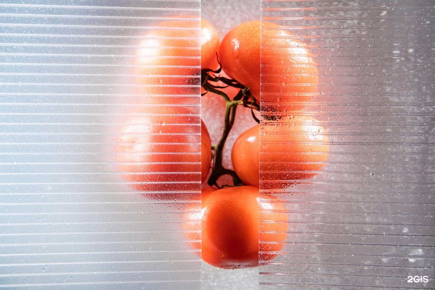 Отзывы на компанию Полигаль Восток в г. Саратов c фото