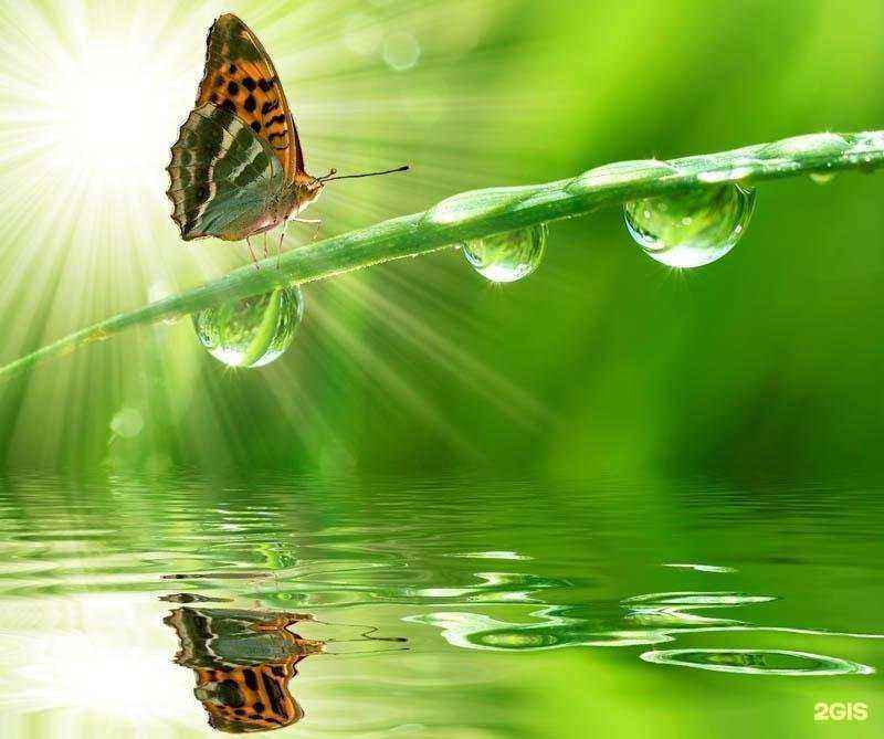 Отзывы на компанию Мега в Челябинске c фото