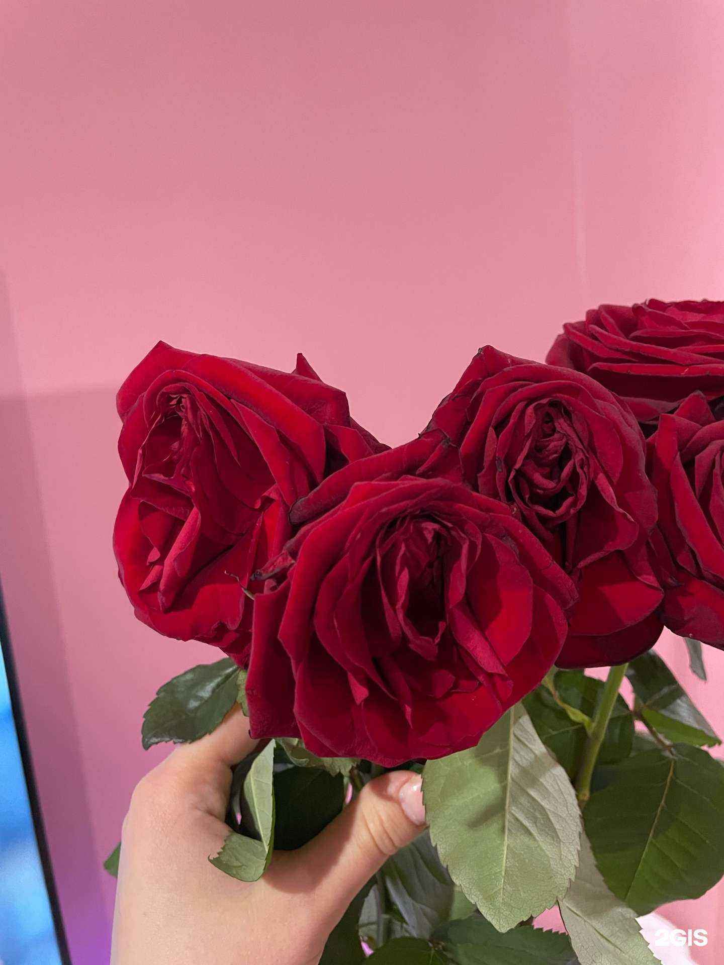 Отзывы на компанию ЦветОк 24/7 в Липецке c фото