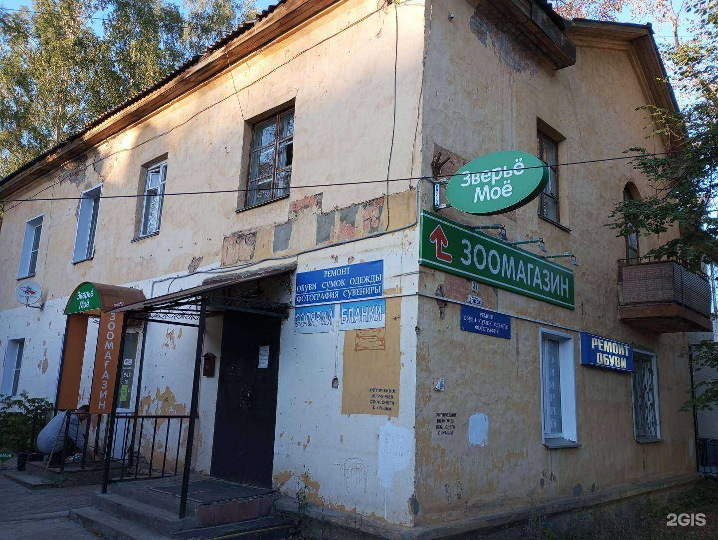 Отзывы на компанию Зверье мое в Кирове c фото - фотография 2 из 2