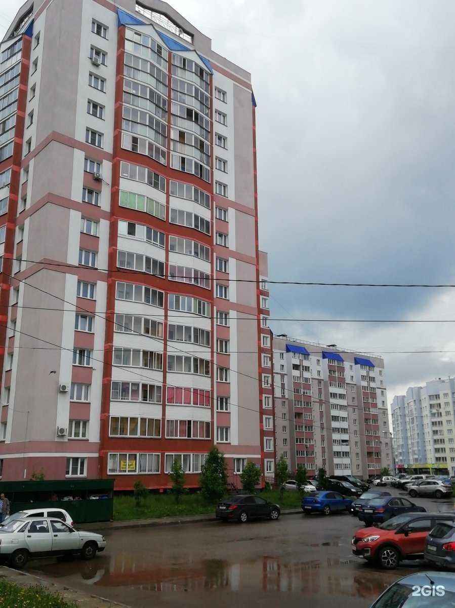 Отзывы на компанию Львенок в Кирове c фото - фотография 2 из 2