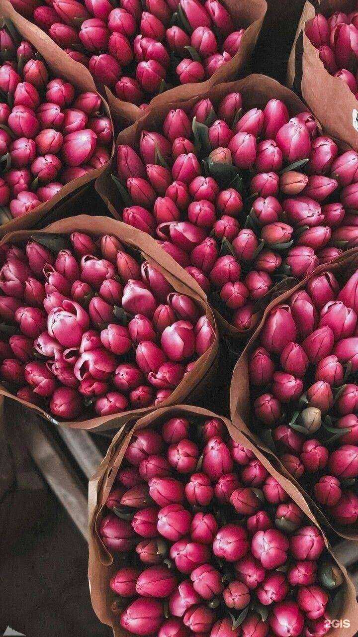 Отзывы на компанию Баш тюльпан в Стерлитамаке c фото