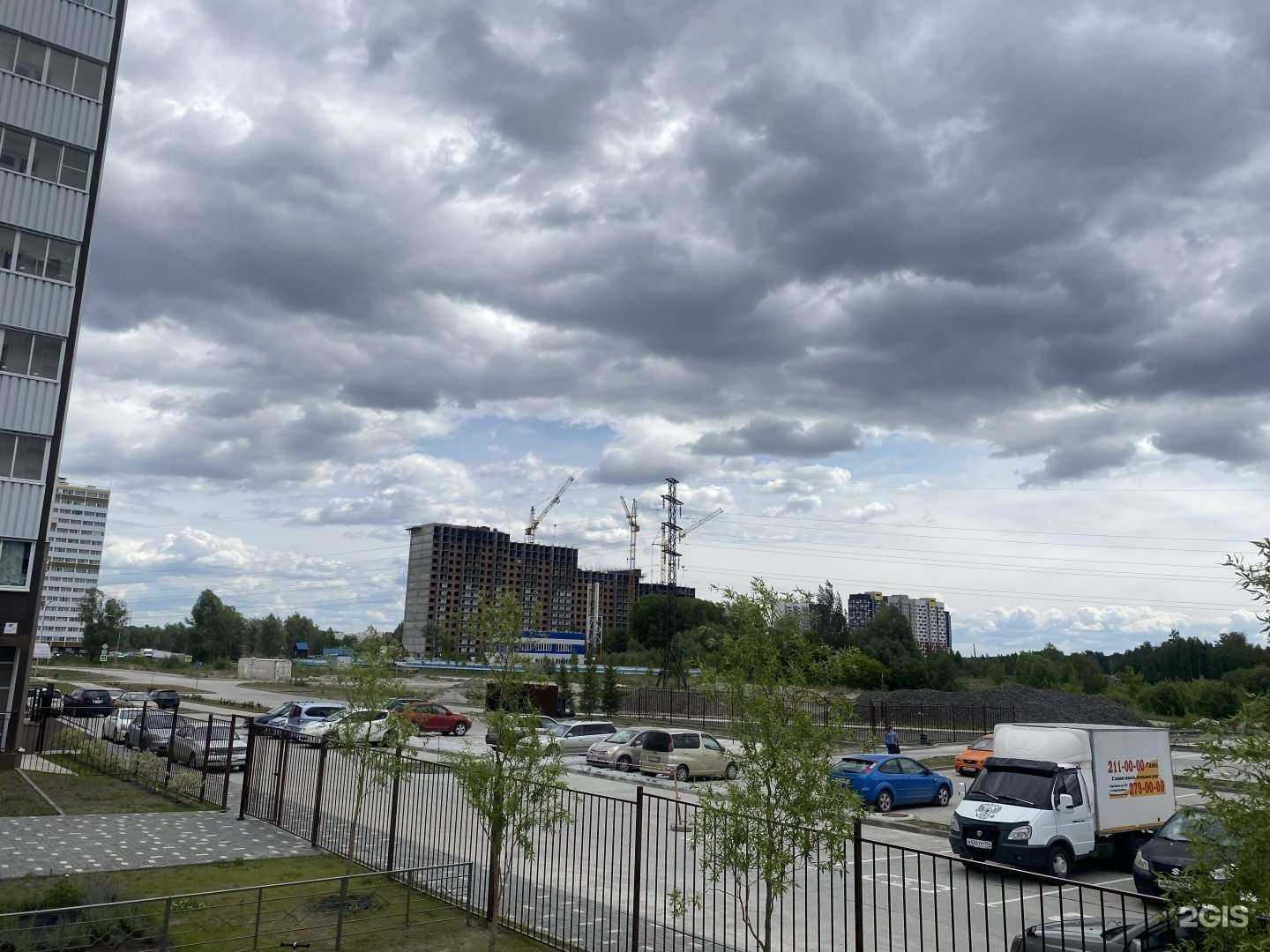 Отзывы на компанию Mishki_nsk  в Новосибирске c фото - фотография 2 из 2