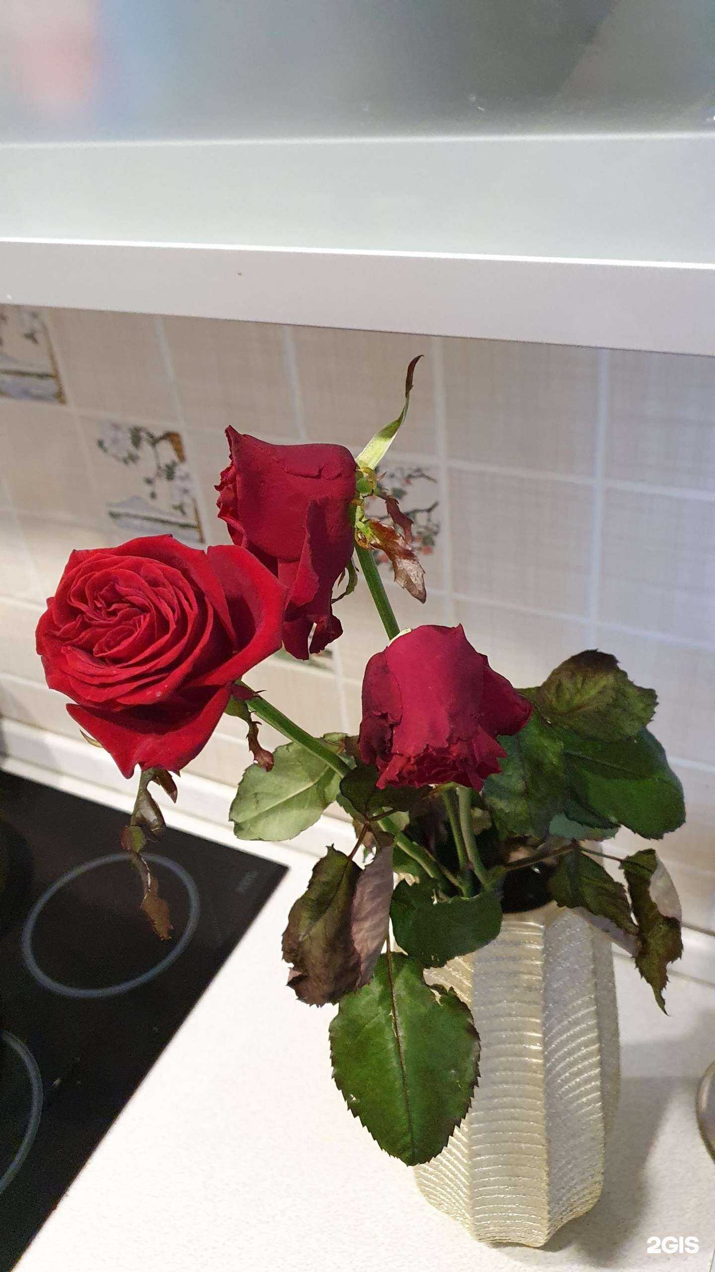 Отзывы на компанию Элит Букет в Белгороде c фото