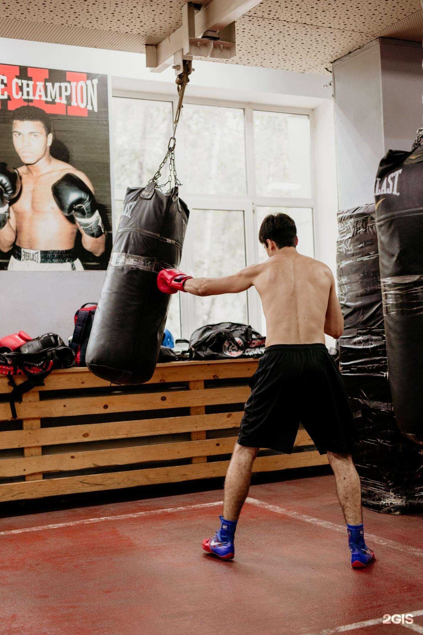Отзывы на компанию Хабаровский городской центр развития бокса в г. Хабаровск c фото