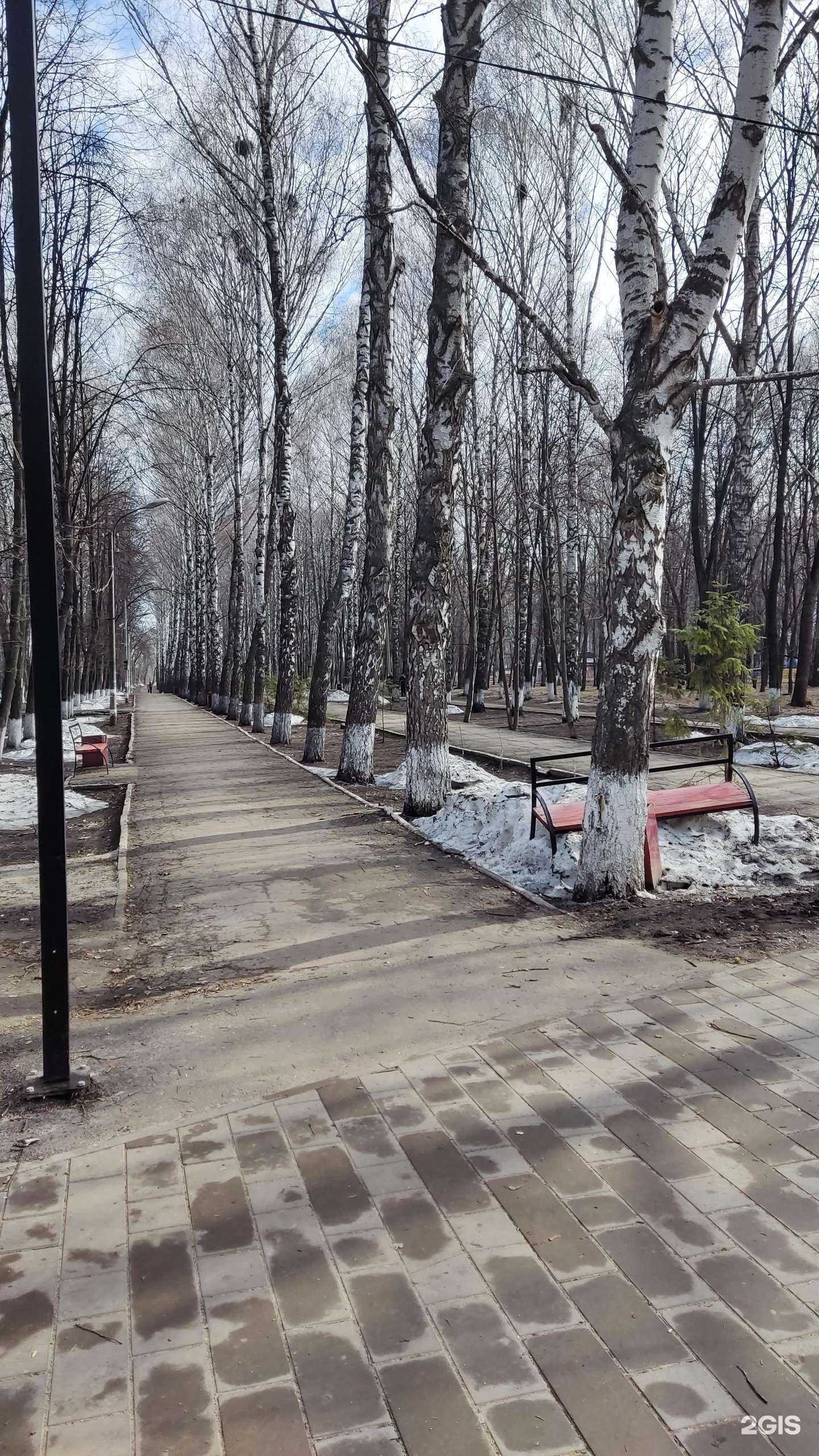 Отзывы на компанию Молодежный в Ульяновске c фото