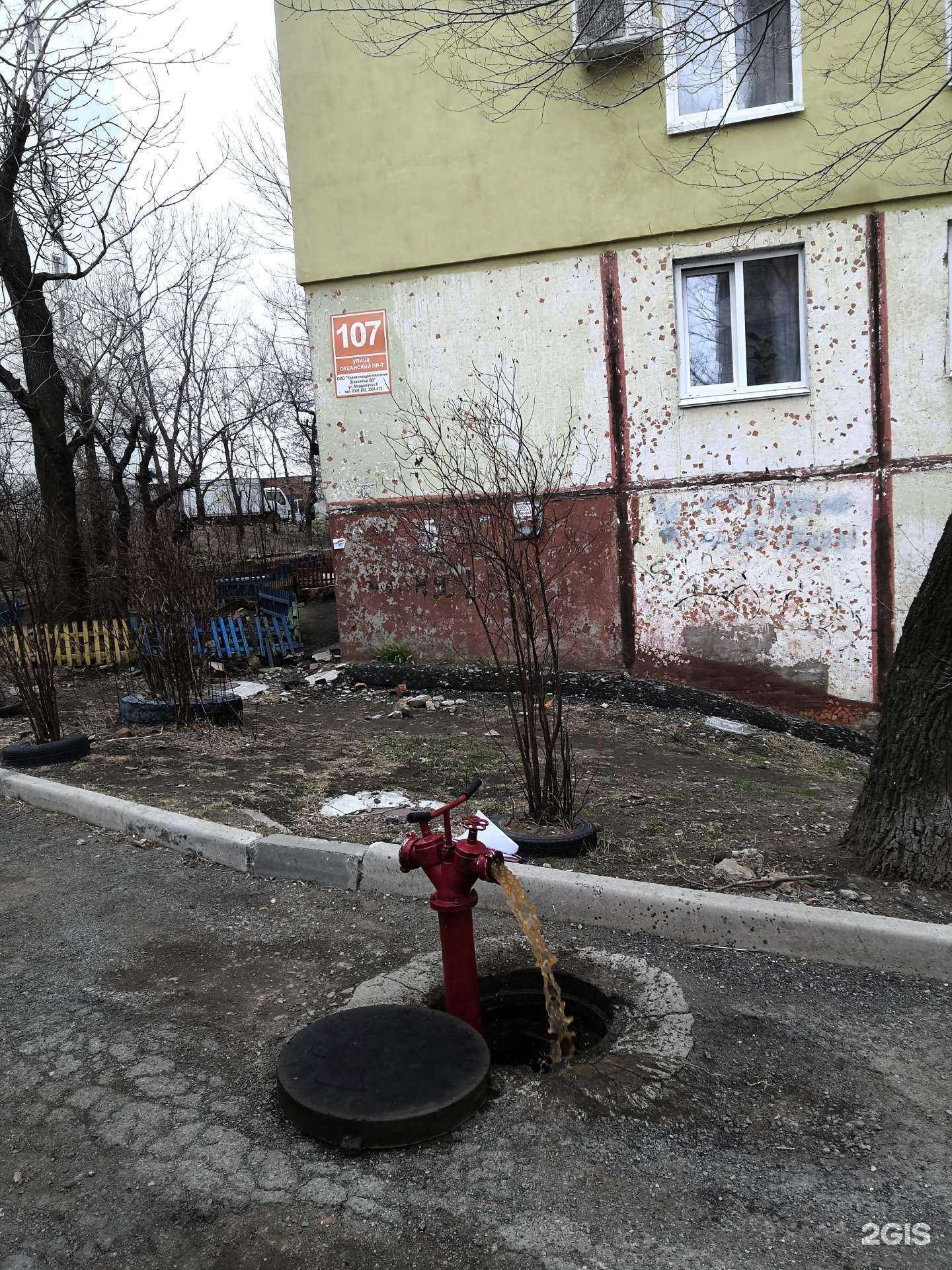 Отзывы на компанию Санас в Владивостоке c фото - фотография 2 из 2