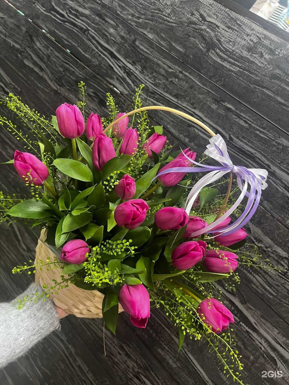 Отзывы на компанию Прованс в Тайге c фото