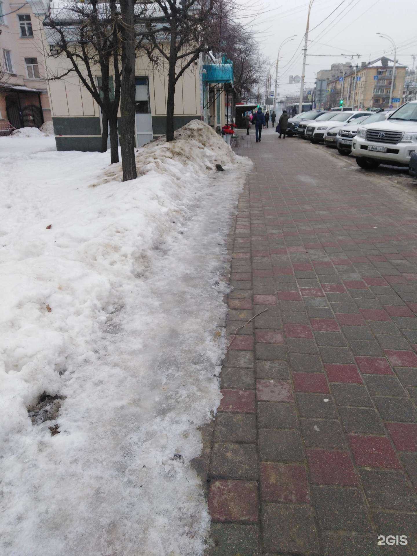 Отзывы на компанию Азалия в Тамбове c фото