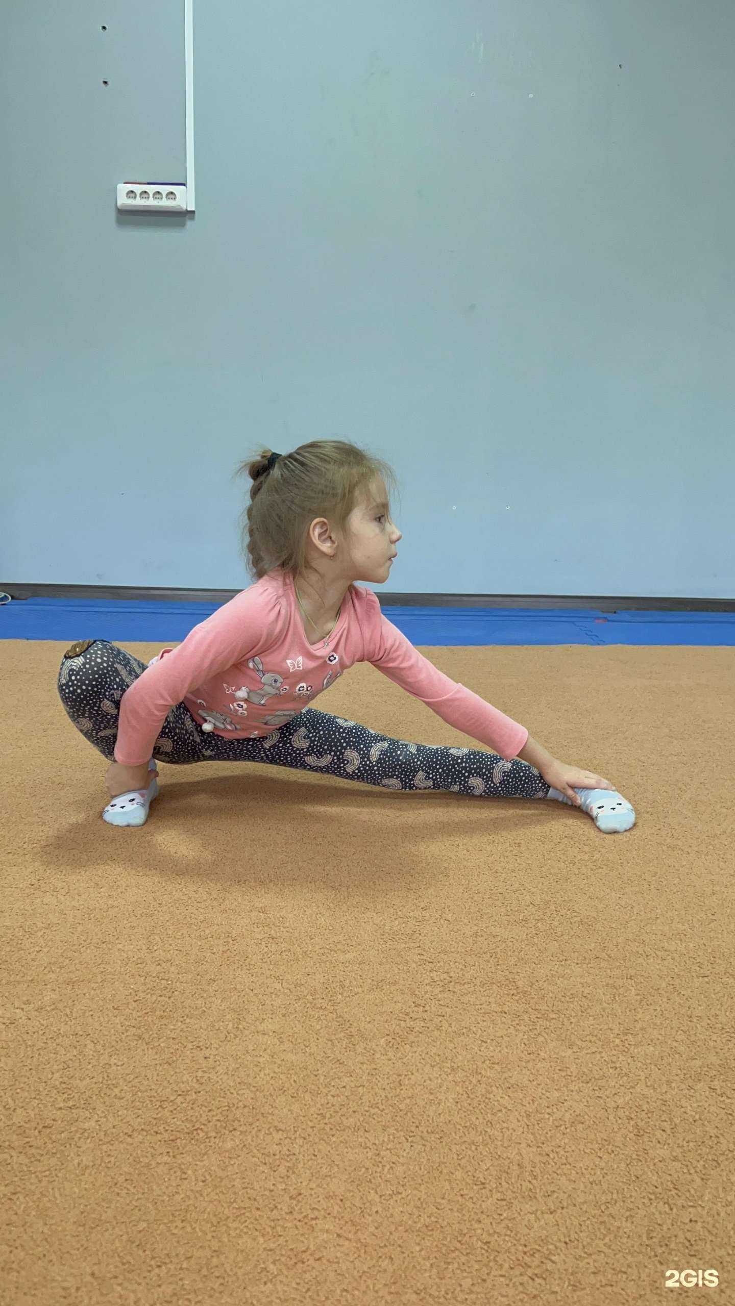 Отзывы на компанию Северный дракон в Томске c фото