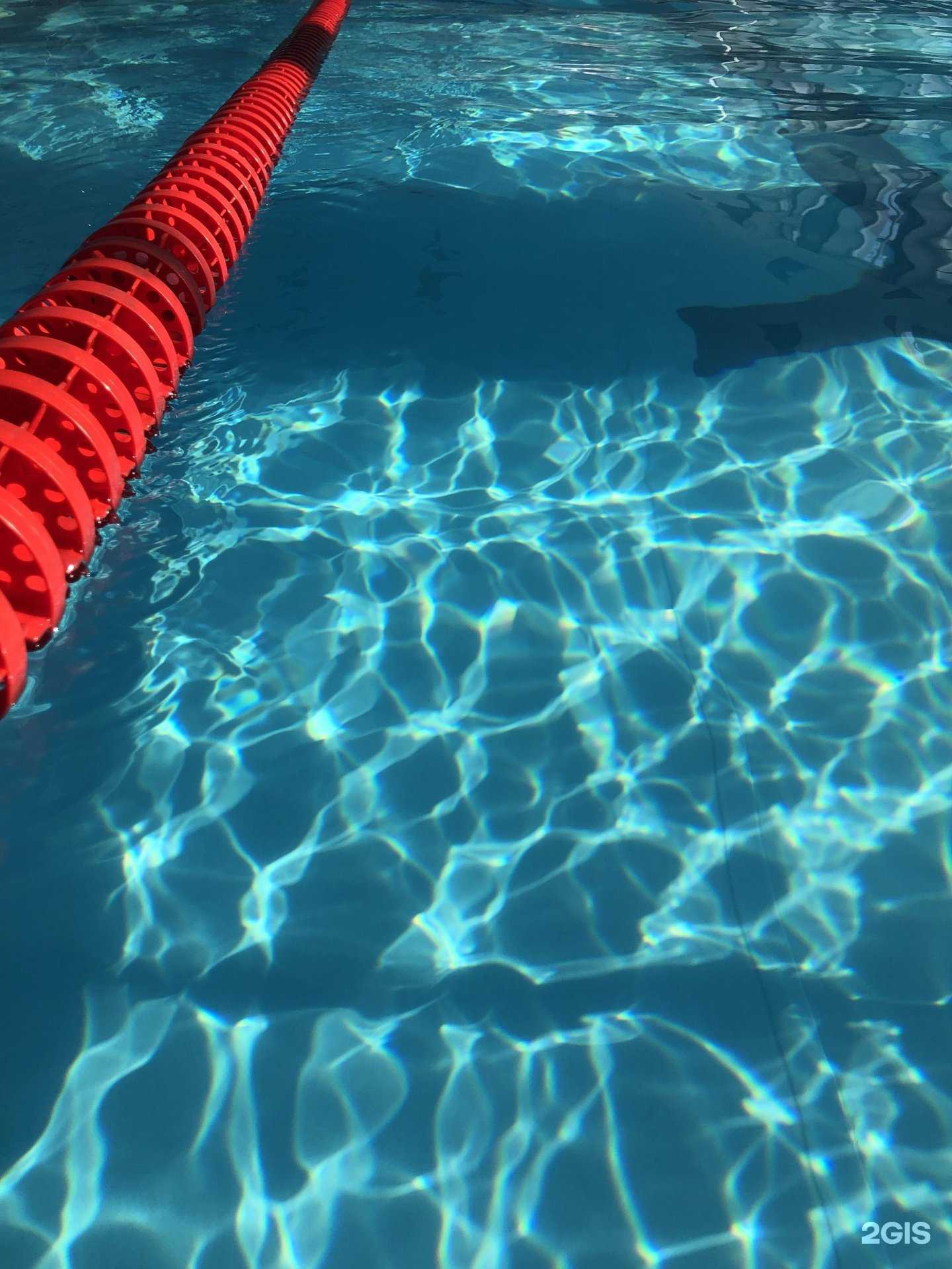 Отзывы на компанию Твоя глубина в Новосибирске c фото