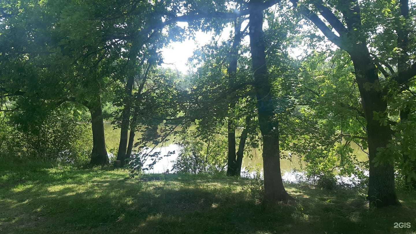 Отзывы на компанию Фестивальный парк в г. Самара c фото