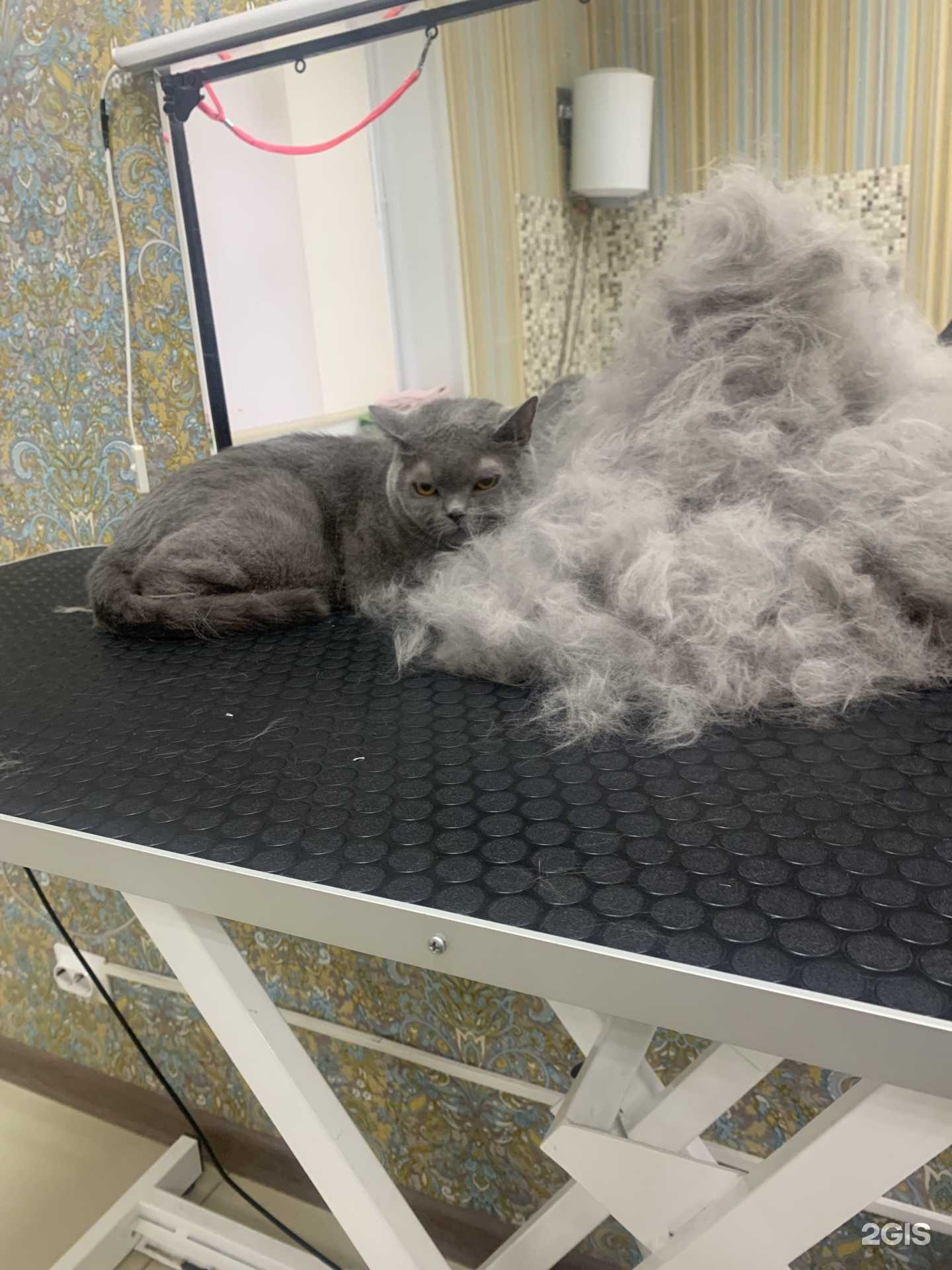 Отзывы на компанию Тея в г. Курск c фото