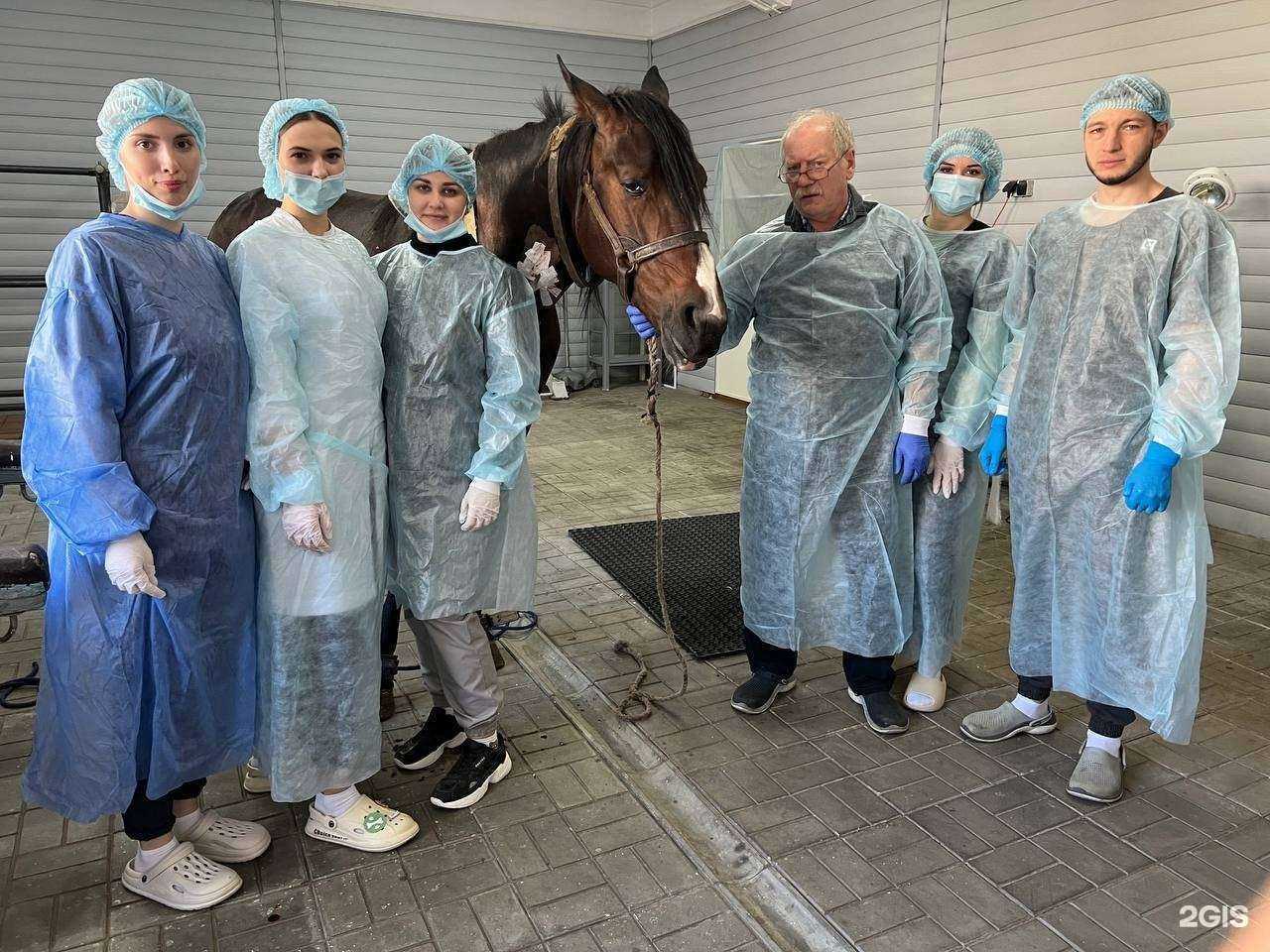 Отзывы на компанию Омский ГАУ в г. Омск c фото