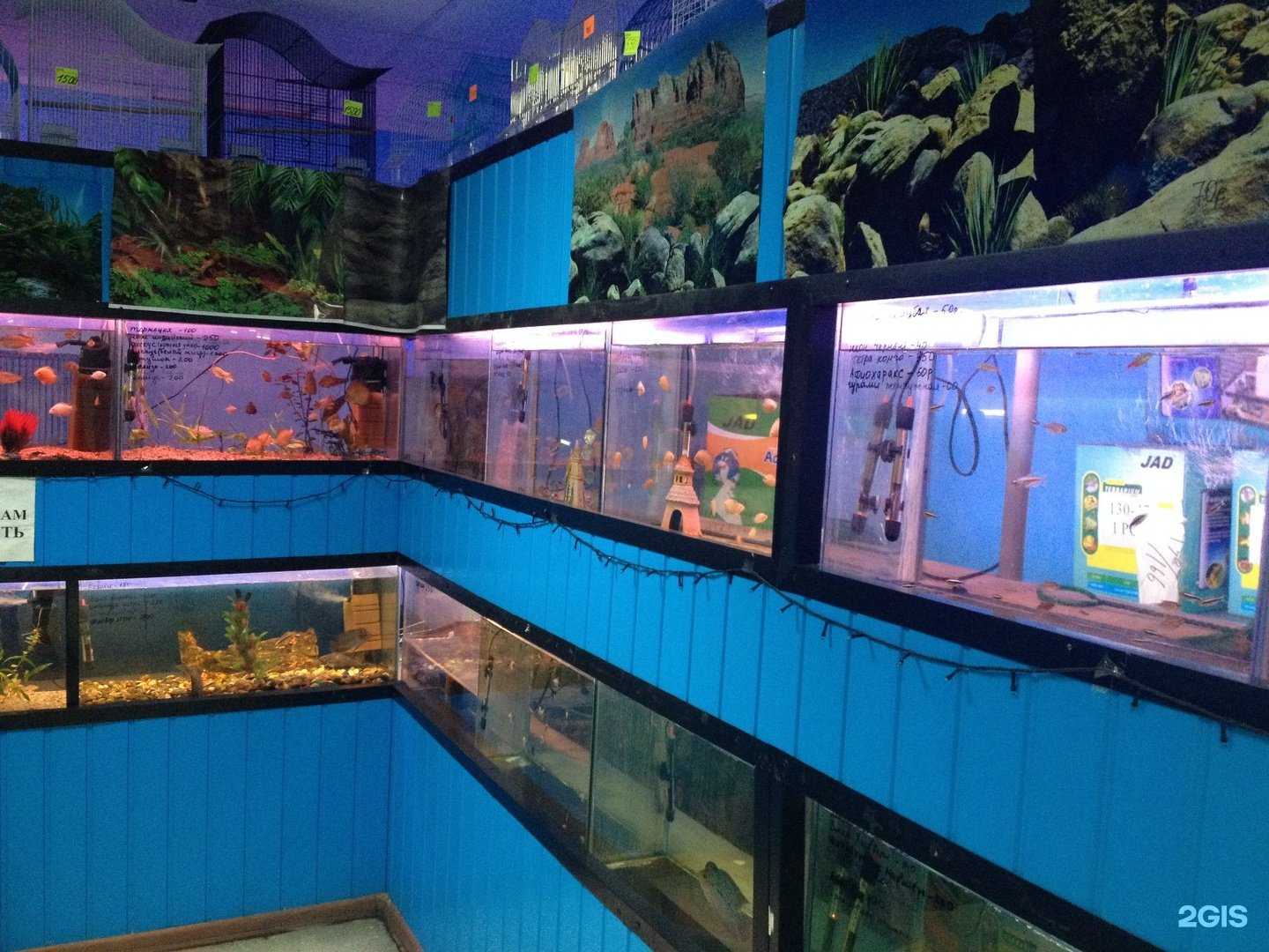 Отзывы на компанию Природа в Прокопьевске c фото