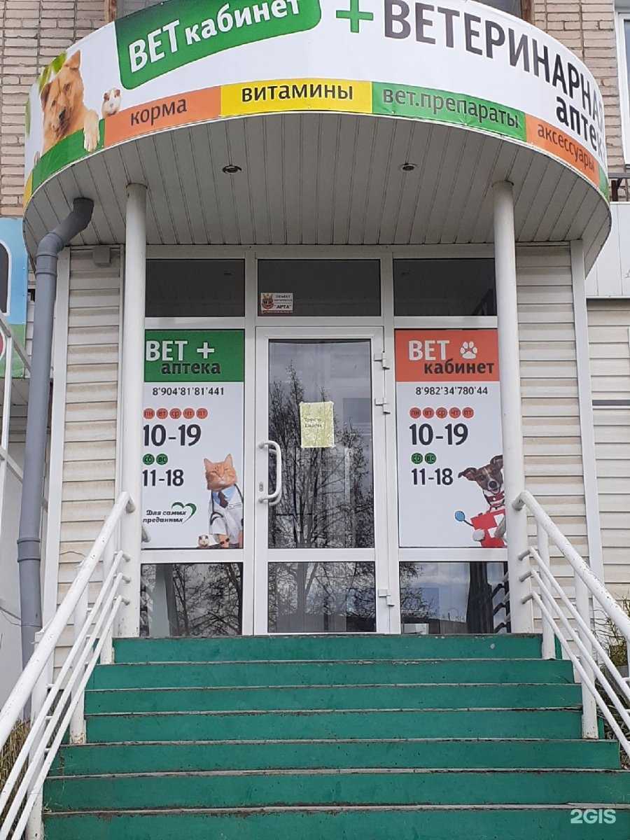 Отзывы на компанию Алиса в Златоусте c фото