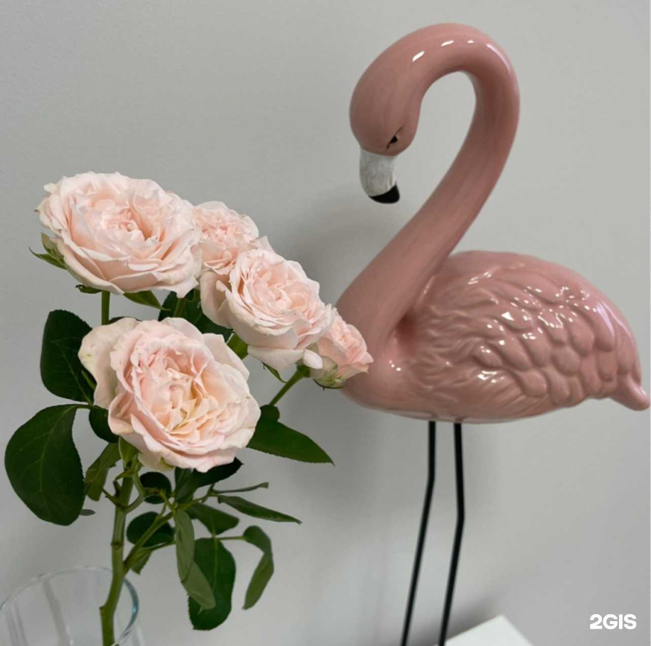 Отзывы на компанию Nevelova Nail Art в Калининграде c фото