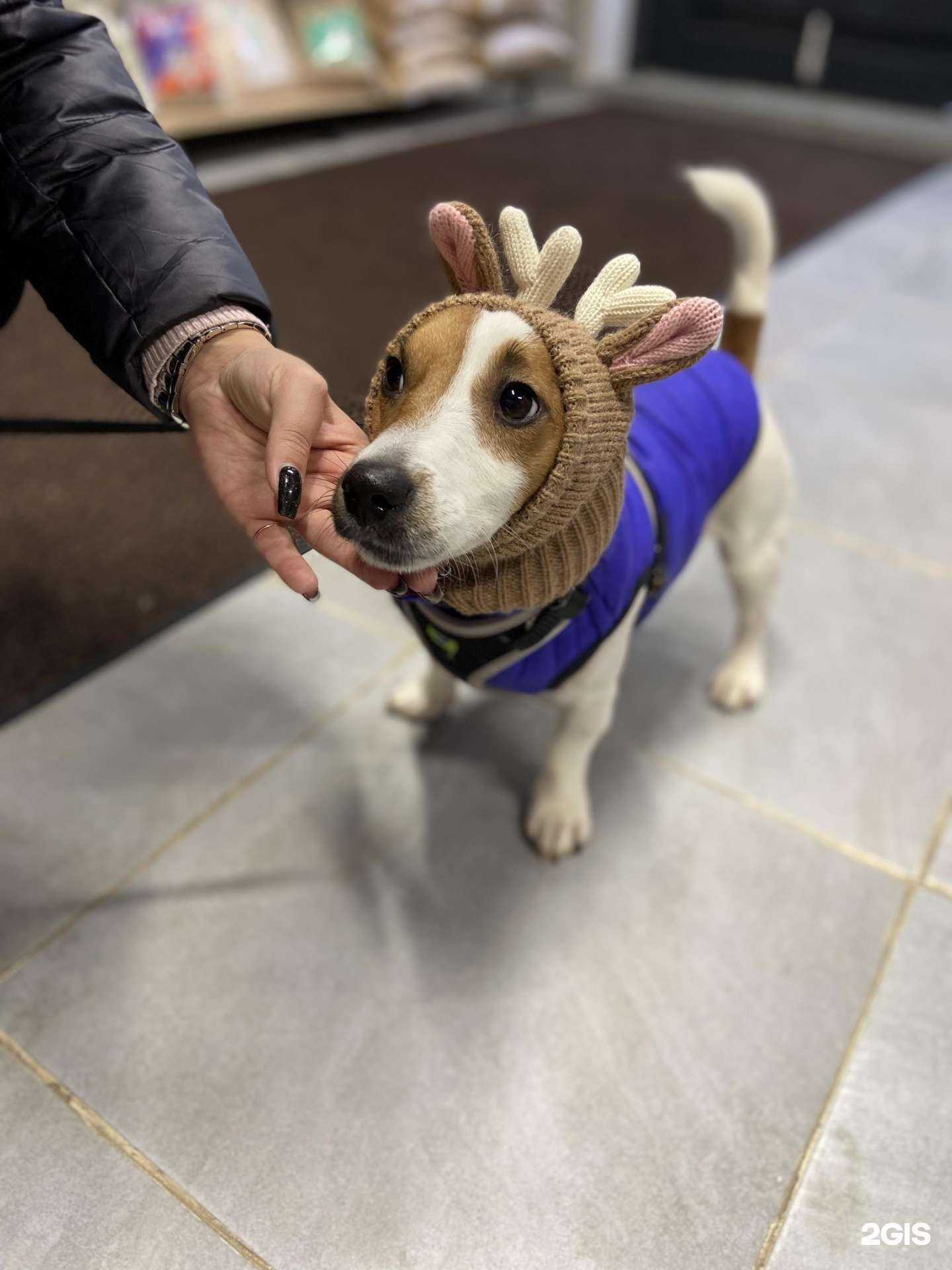 Отзывы на компанию Гарфилд в Балашихе c фото