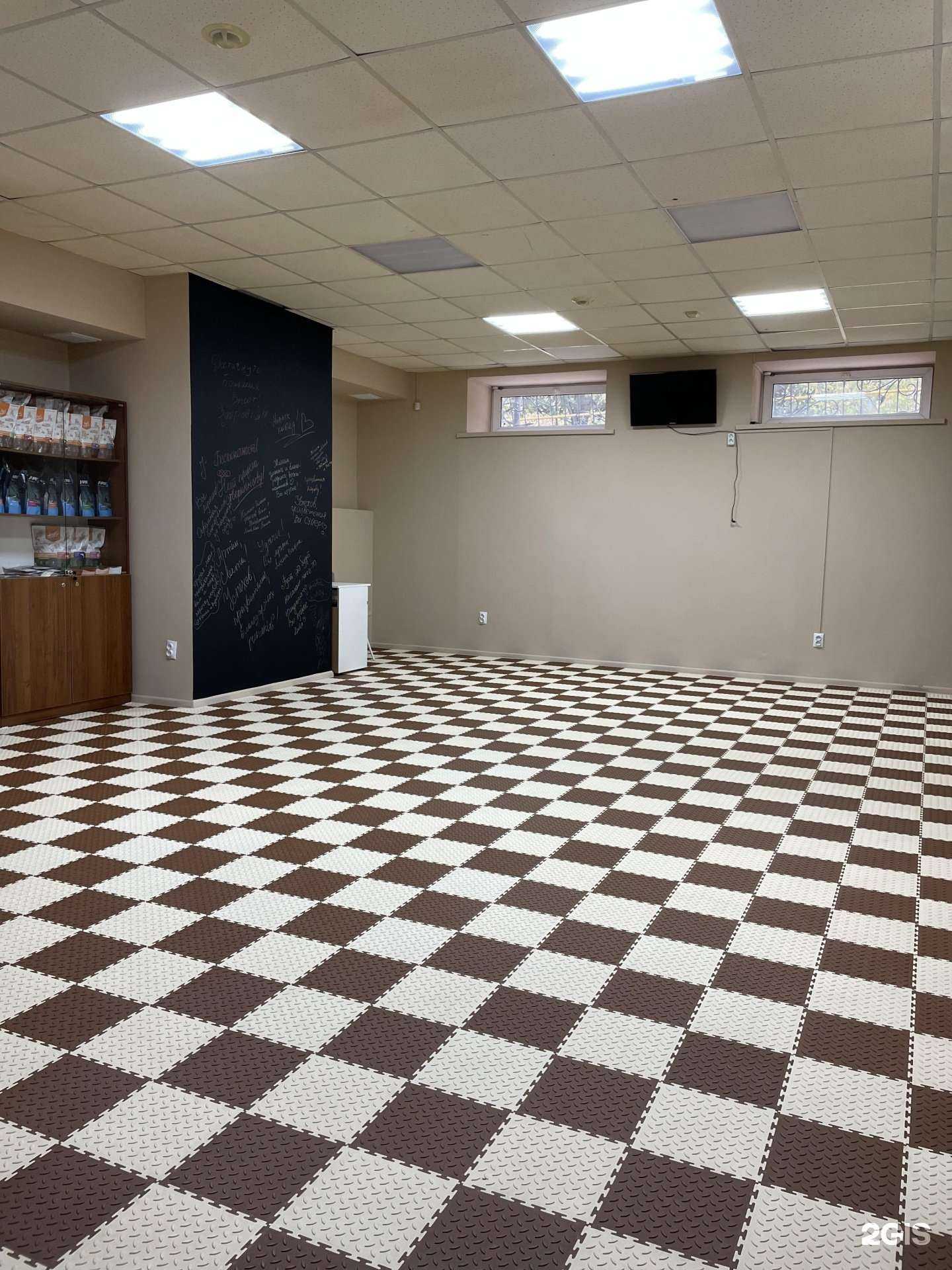 Отзывы на компанию Собака73 в Ульяновске c фото