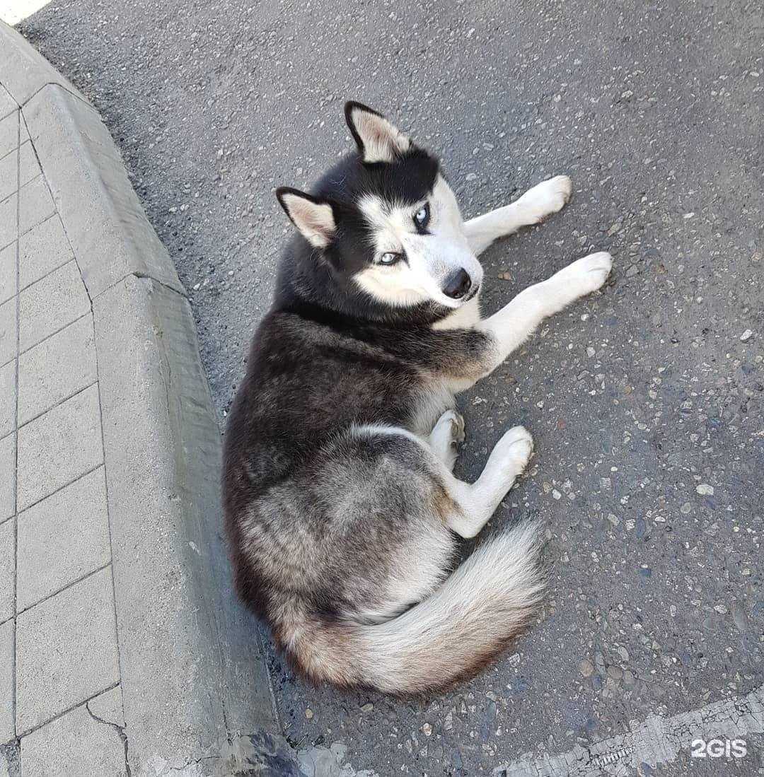 Отзывы на компанию Волгоградский ГАУ в Волгограде c фото