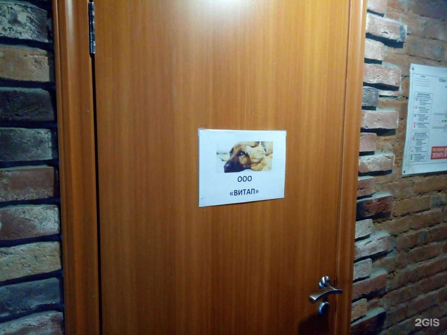 Отзывы на компанию Витап в Екатеринбурге c фото