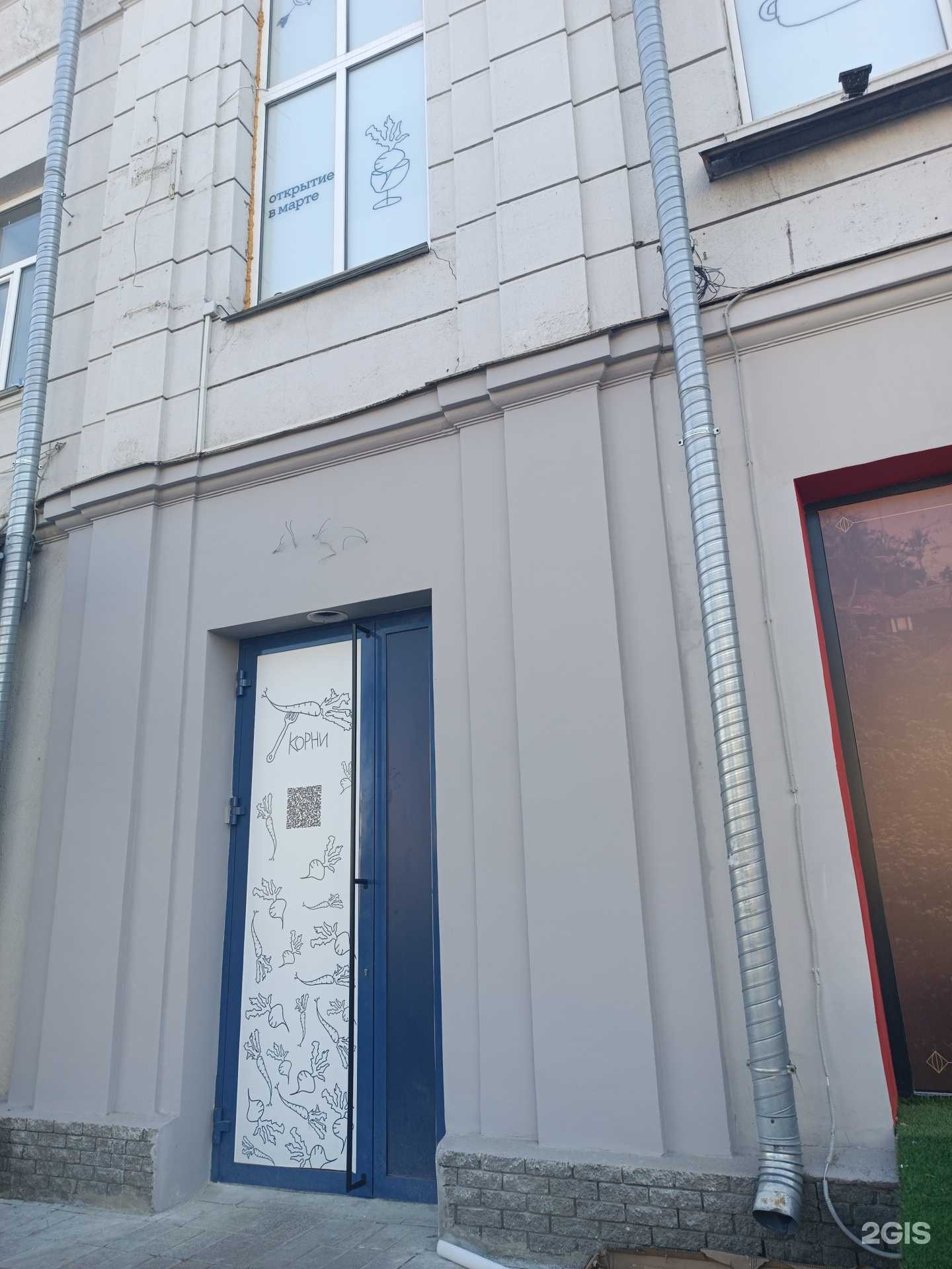 Отзывы на компанию Корни в г. Нижний Новгород c фото